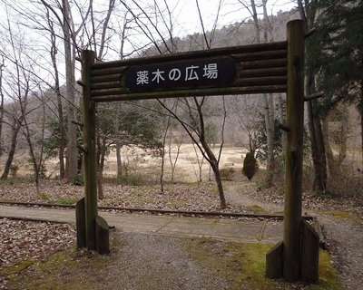 🌳 나가라가와 만남의 숲 사계절의 숲 센터 (나가라가와 후레아이노모리 시키노모리 센터)